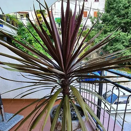 Appartement Gasparac - 30 Meters From The Ika